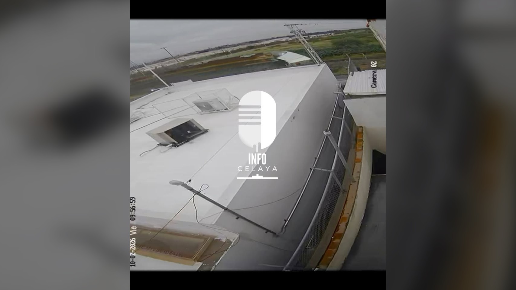¡Otro más!: tren se lleva tráiler que le quiso ganar el paso
