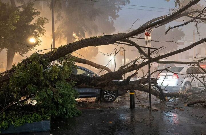 Lluvia atípica y fuertes vientos causan estragos en la ciudad; Protección Civil reportó saldo blanco