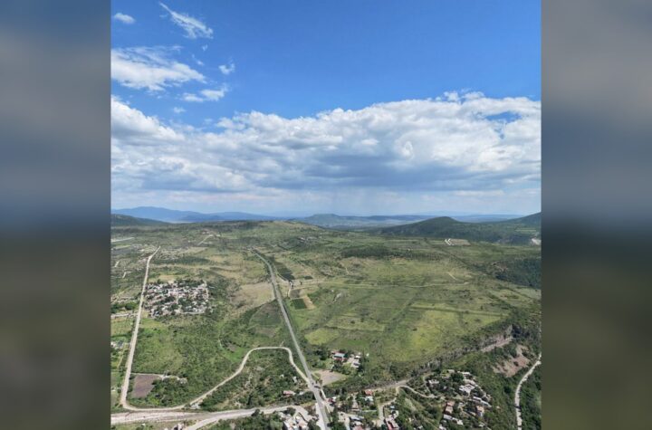 Plaga de lirio recupera espacio en Presa Allende